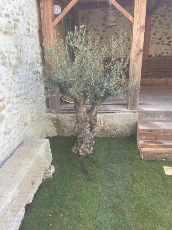 Drome Provencale Maison Familiale Calme Dans Village Valréas Zewnętrze zdjęcie